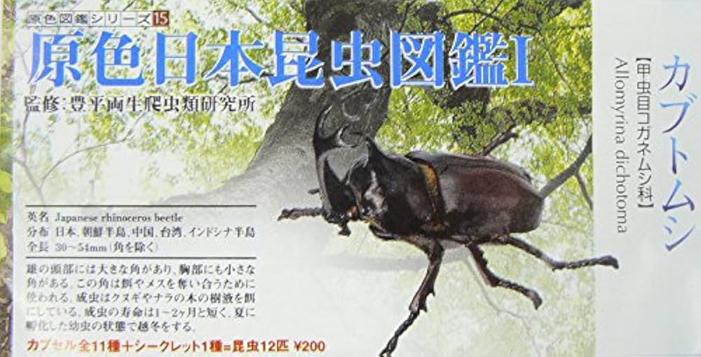 原色日本甲虫図鑑 Ⅰ 原色日本甲虫図鑑 Ⅰ